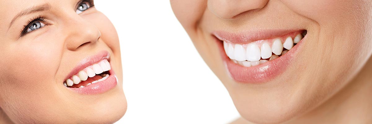 Oak Tree Dental Privacy Policy - McLean Dentist